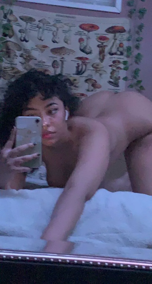 chloegulu8