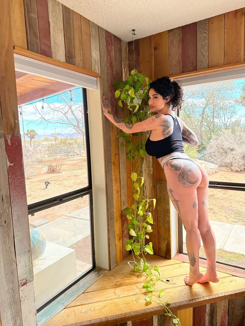 Jessica Raphael