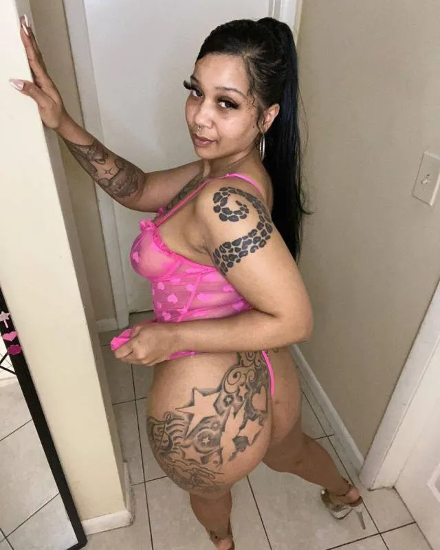 Brandisheri446