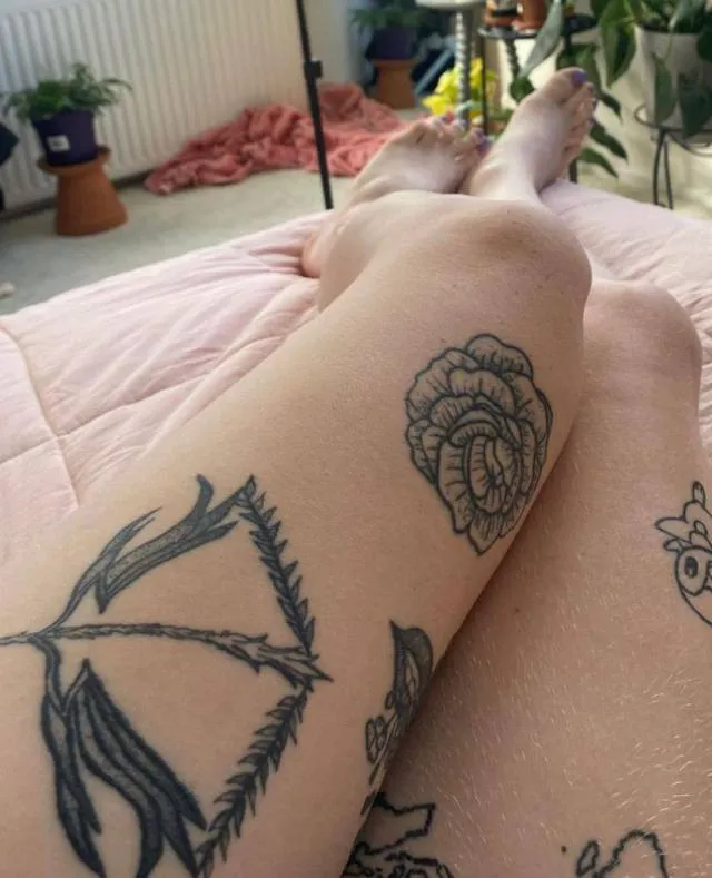 Debbiepolark