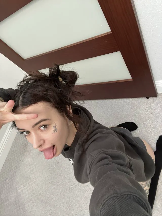 lynnemorgan213