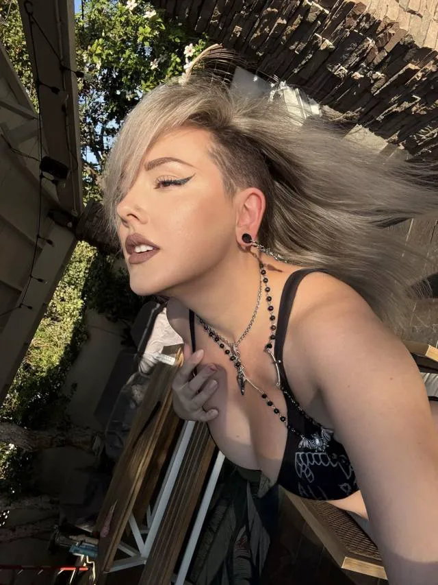 dixiemichael841