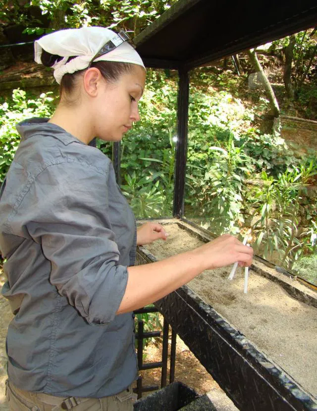 annacynthiamorgan