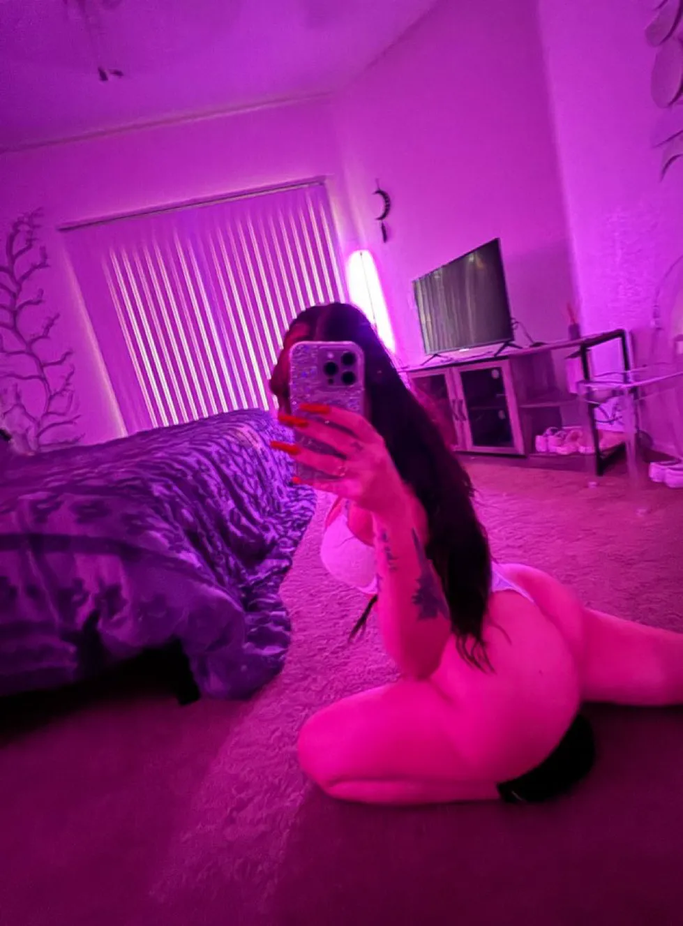 Princess Rose