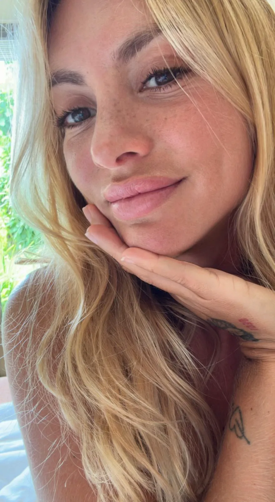 Bryci